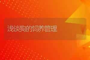 浅谈狗的饲养管理