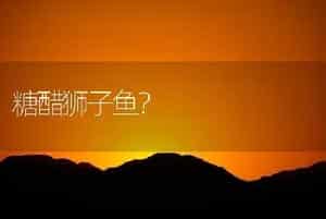 糖醋狮子鱼？