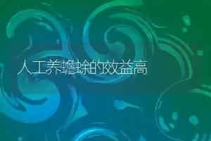人工养蟾蜍的效益高