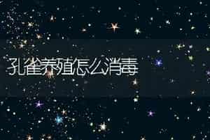 孔雀养殖怎么消毒