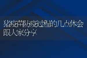 猪疫苗防疫过程的几点体会跟大家分享
