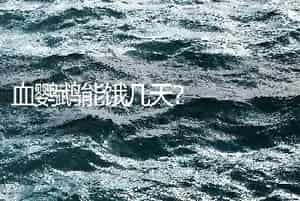 血鹦鹉能饿几天？