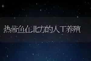 热带鱼在北方的人工养殖