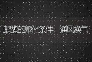 耕牛春季催膘复壮验方