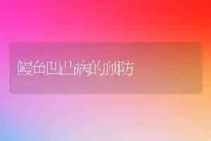 鳗鱼凹凸病的预防