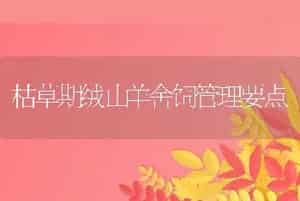 鳗鱼养殖之如何养好水
