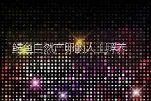鳝鱼自然产卵的人工孵养