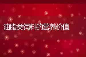 油脂类饲料的营养价值