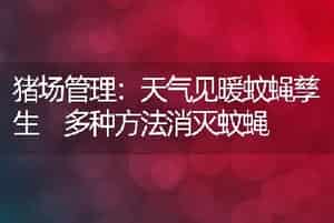猪场管理：天气见暖蚊蝇孳生多种方法消灭蚊蝇