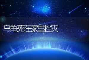 乌龟死在家里挡灾