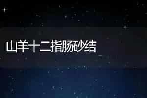 山羊十二指肠砂结