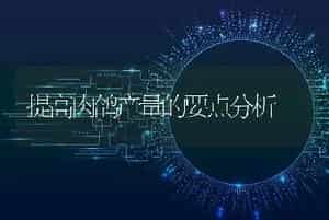 提高肉鸽产量的要点分析