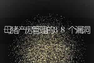 母猪产房管理的38个漏洞