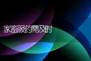 近期网友遇到的猪病及参考解决办法