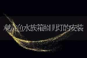必须从哲学层面上总结养猪业的教训