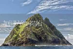 加州鲈鱼病防治