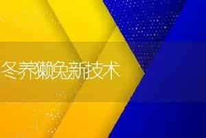 使鸡产蛋率平稳的措施