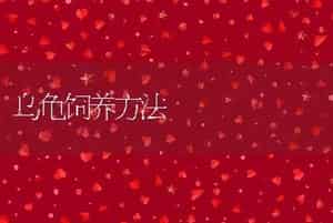 乌龟饲养方法