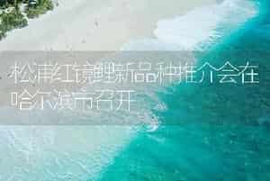 松浦红镜鲤新品种推介会在哈尔滨市召开