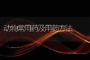 动物常用药及用药方法
