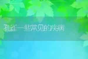 孔雀一些常见的疾病