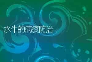 水牛的病疫防治