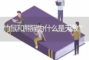 竹鼠和熊猫为什么是天敌？