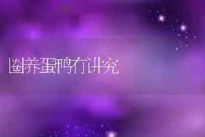 圈养蛋鸭有讲究