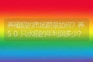 养殖貂的市场前景如何？养50只水貂的年利润多少？