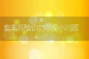畜禽养殖切勿忽视小问题