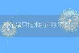 养殖猪只技术的四项不宜