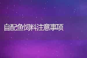 自配鱼饲料注意事项