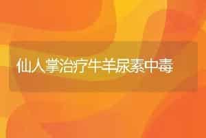 仙人掌治疗牛羊尿素中毒