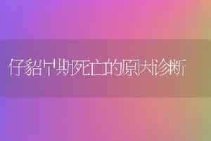 猪繁殖障碍讲座：玉米赤霉烯酮对猪怀孕前后的影响