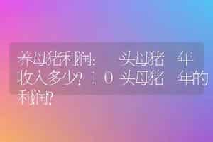 养母猪利润：一头母猪一年收入多少？10头母猪一年的利润？
