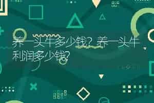 养一头牛多少钱？养一头牛利润多少钱?