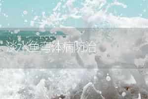 淡水鱼弯体病防治