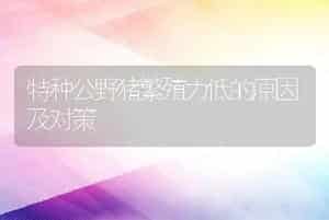 特种公野猪繁殖力低的原因及对策