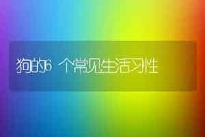 狗的6个常见生活习性