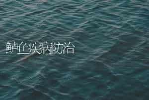 鲈鱼疾病防治