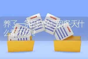 养了一条招财鱼可到冬天什么都不吃？