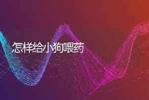 怎样给小狗喂药