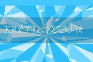 蓝孔雀养殖要投资多少钱