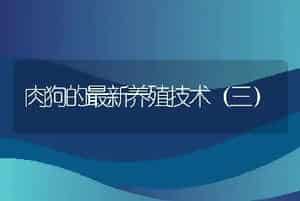 肉狗的最新养殖技术（三）
