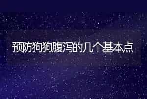 预防狗狗腹泻的几个基本点