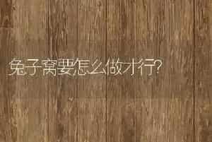 乌龟在冬天是怎么养殖的