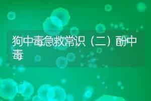 狗中毒急救常识（二）酚中毒
