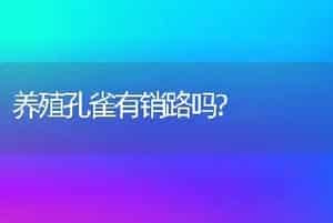 养殖孔雀有销路吗?