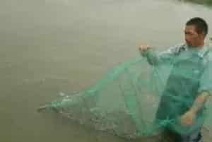 梅雨季节对虾养殖 如何预防和预防什么