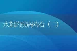 水貂的疾病防治（二）